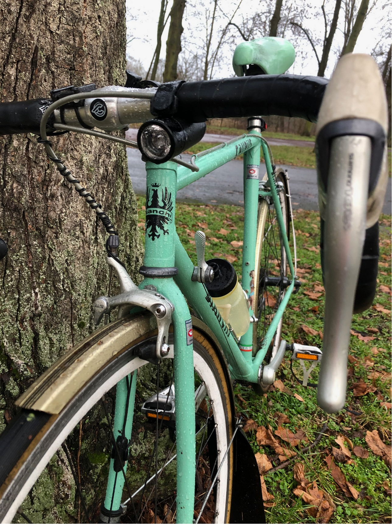 Screenshot 2025-12-09 at 18-21-32 IMG_4232.jpg (JPEG-Grafik 1512 × 2016 Pixel).png