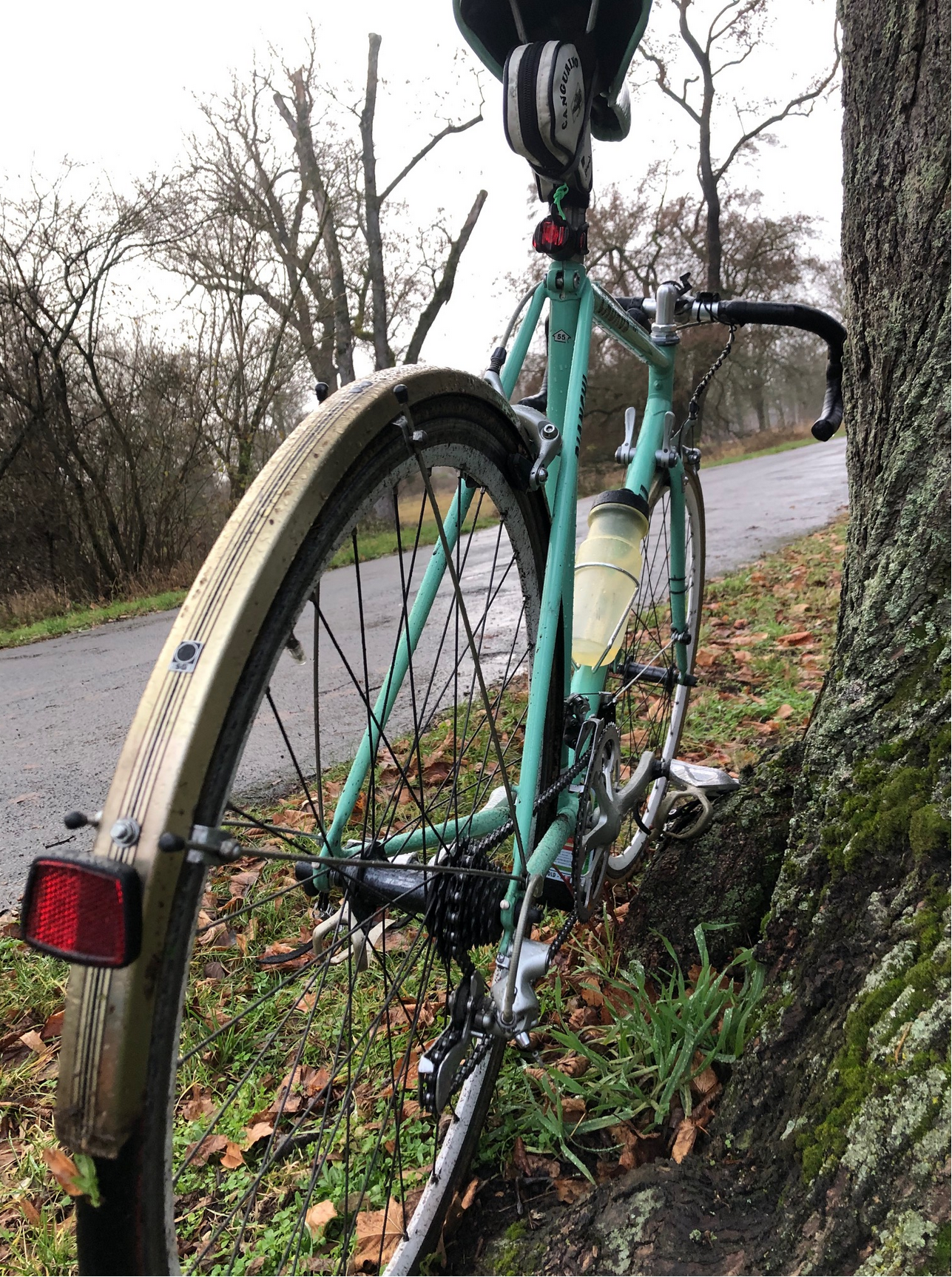 Screenshot 2025-12-09 at 18-22-17 IMG_4235.jpg (JPEG-Grafik 1512 × 2016 Pixel).png