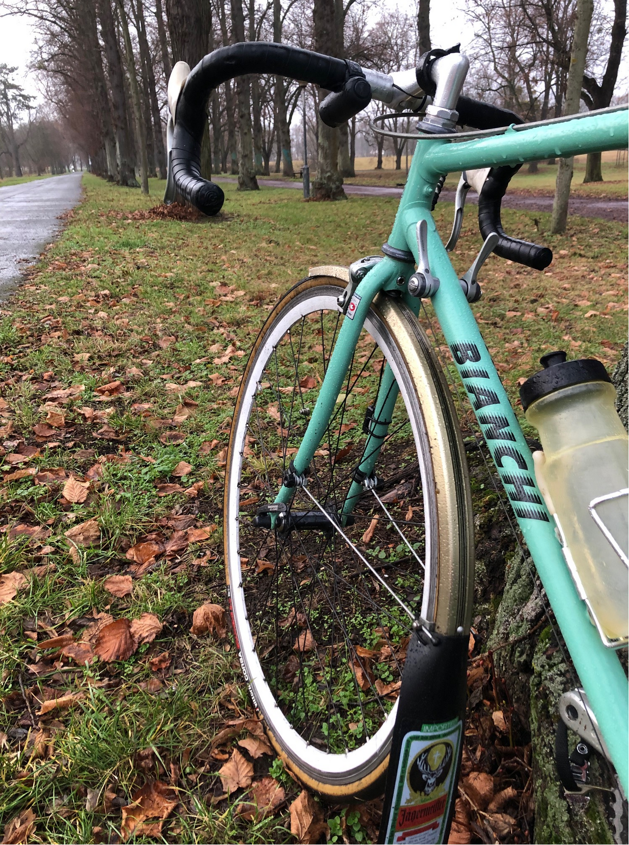 Screenshot 2025-12-09 at 18-22-41 IMG_4243.jpg (JPEG-Grafik 1512 × 2016 Pixel).png