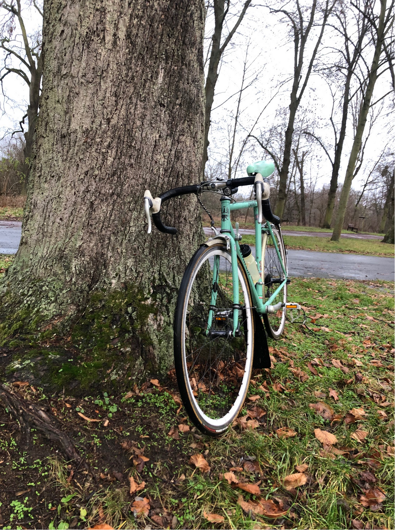 Screenshot 2025-12-09 at 18-24-56 IMG_4228.jpg (JPEG-Grafik 1512 × 2016 Pixel).png