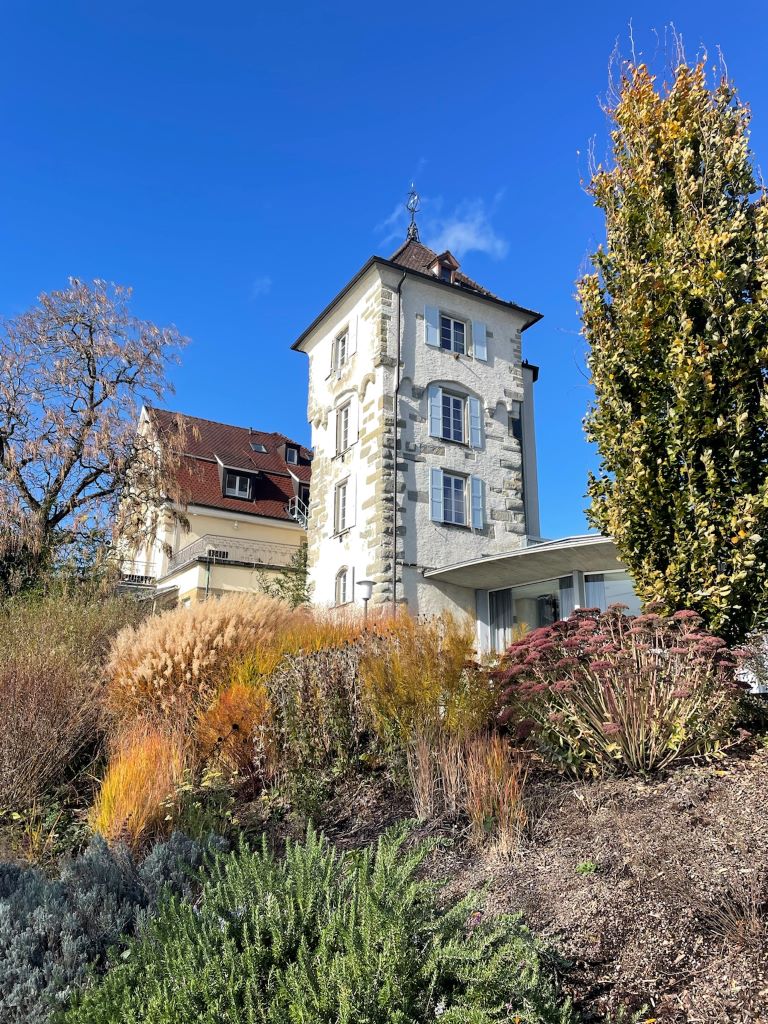 See-2.jpg