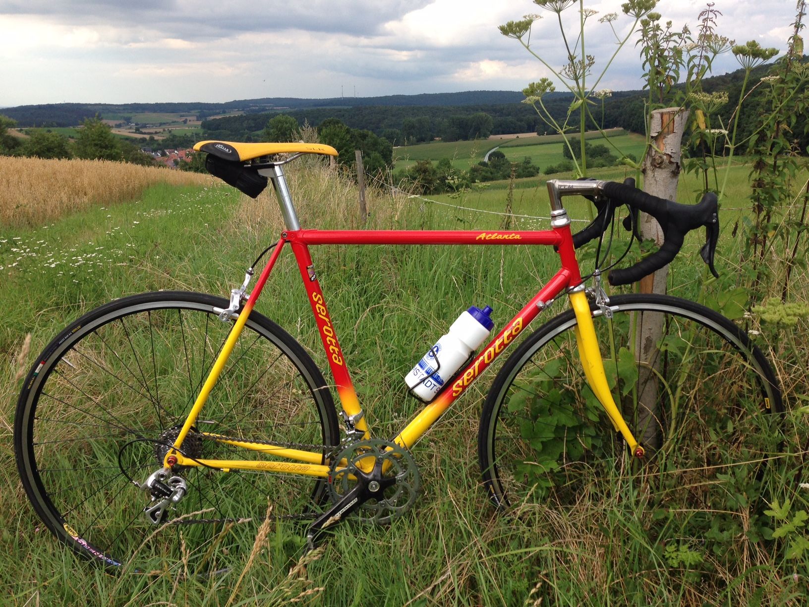 Serotta.JPG