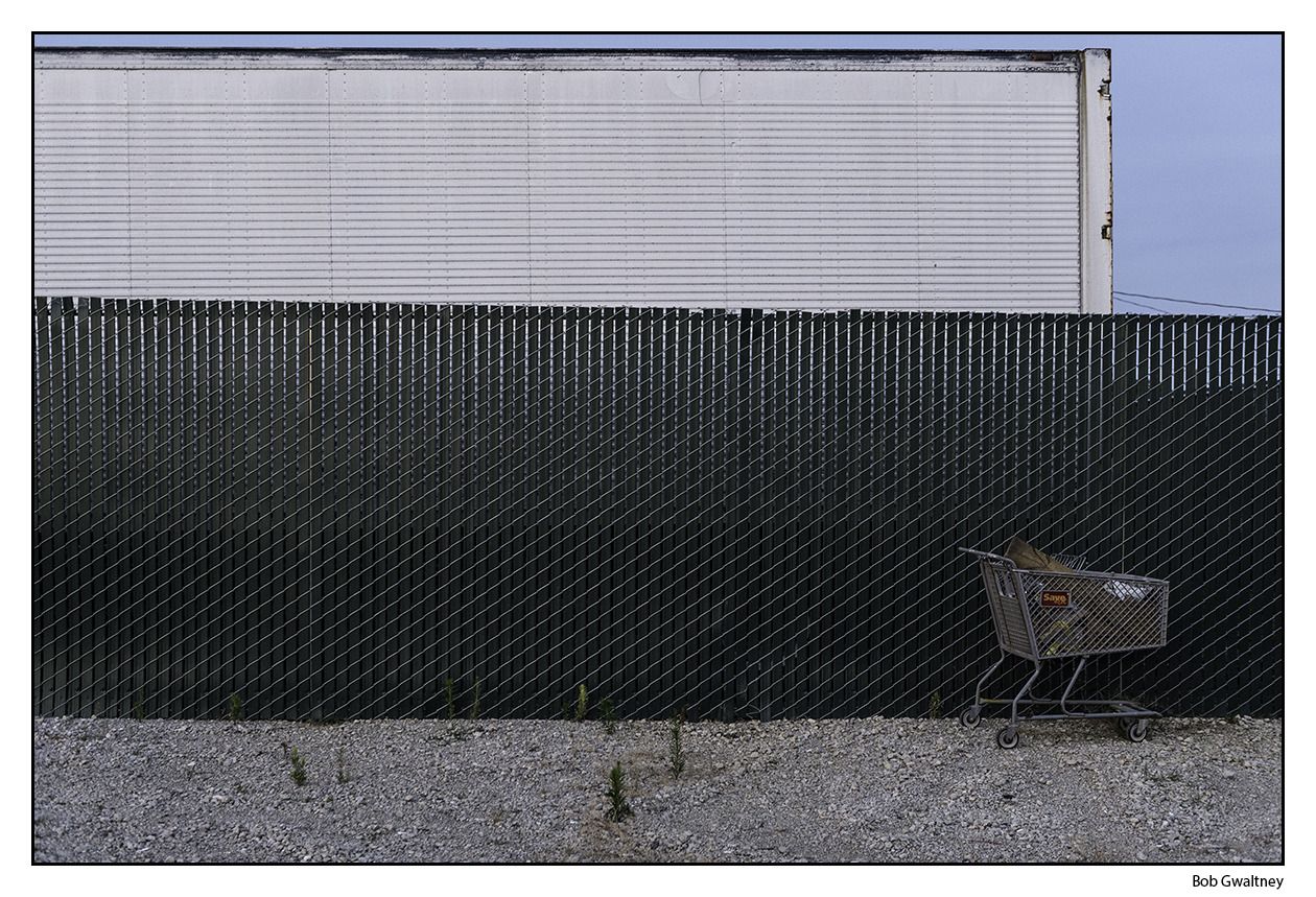 Shopping Cart at Dusk.jpg