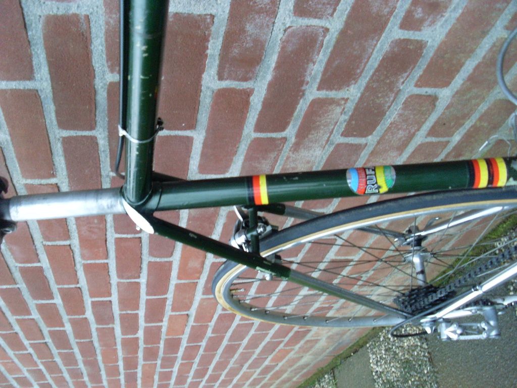 SL370462.JPG