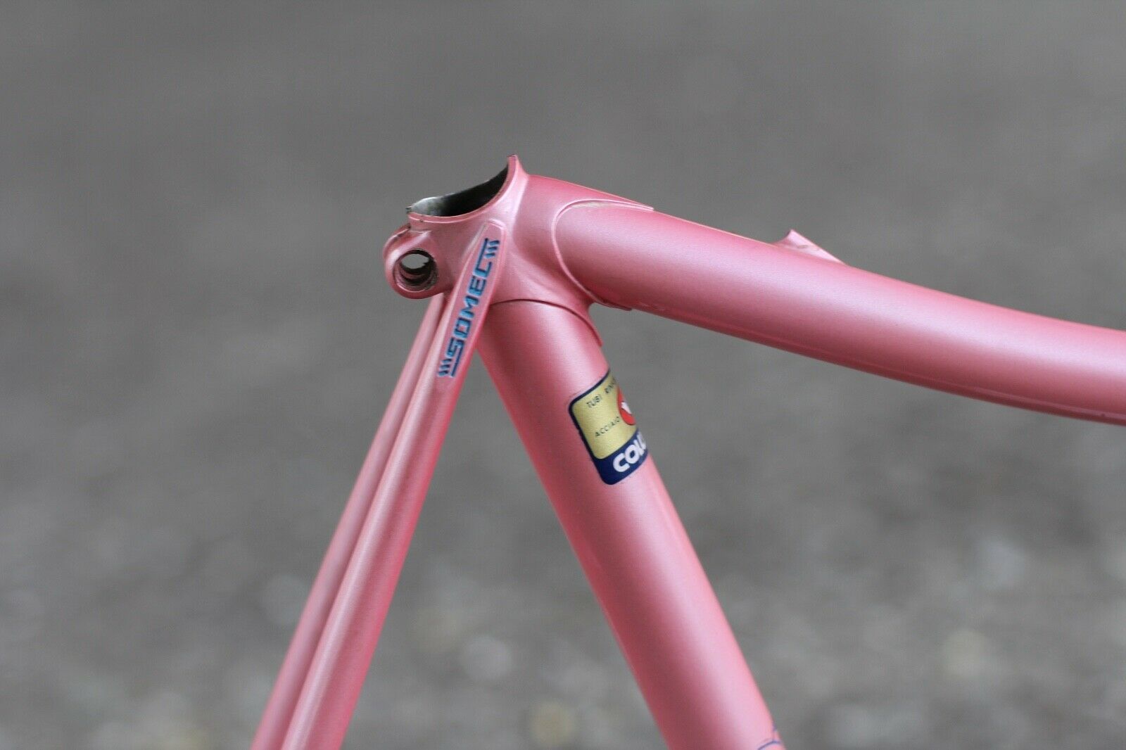 somec falmingo pink arrogant crono time trial pursuit.jpg