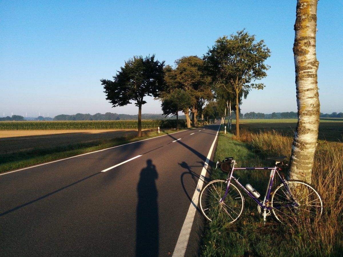 Sommer2014.jpg
