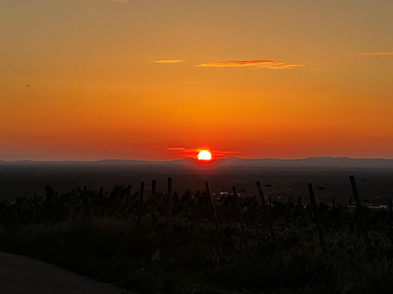 sonne.jpg