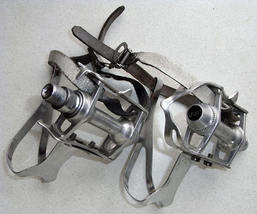 SPIDEL (1).JPG