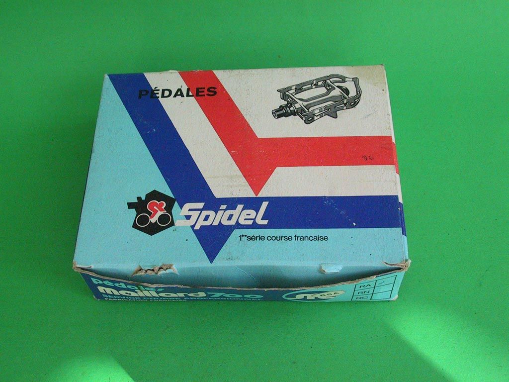 spidel6.JPG