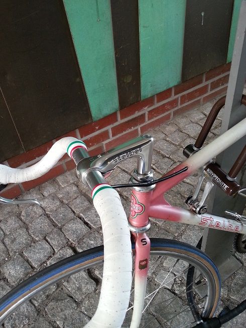 stelbel2.jpg