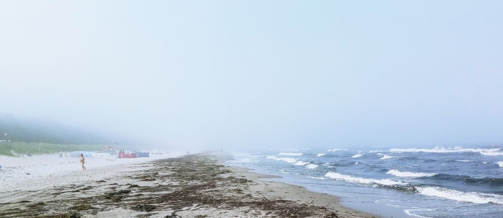 strand.jpg
