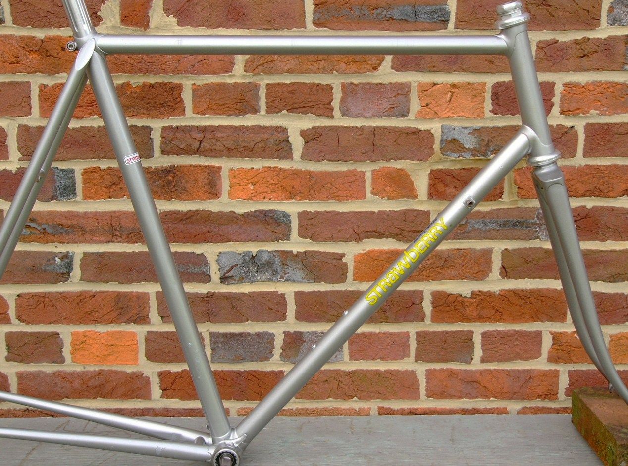 Strawberry 1976 --- built by Mark DiNucci (1).jpg