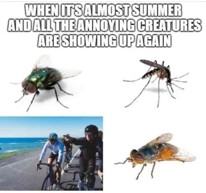 summer.jpg