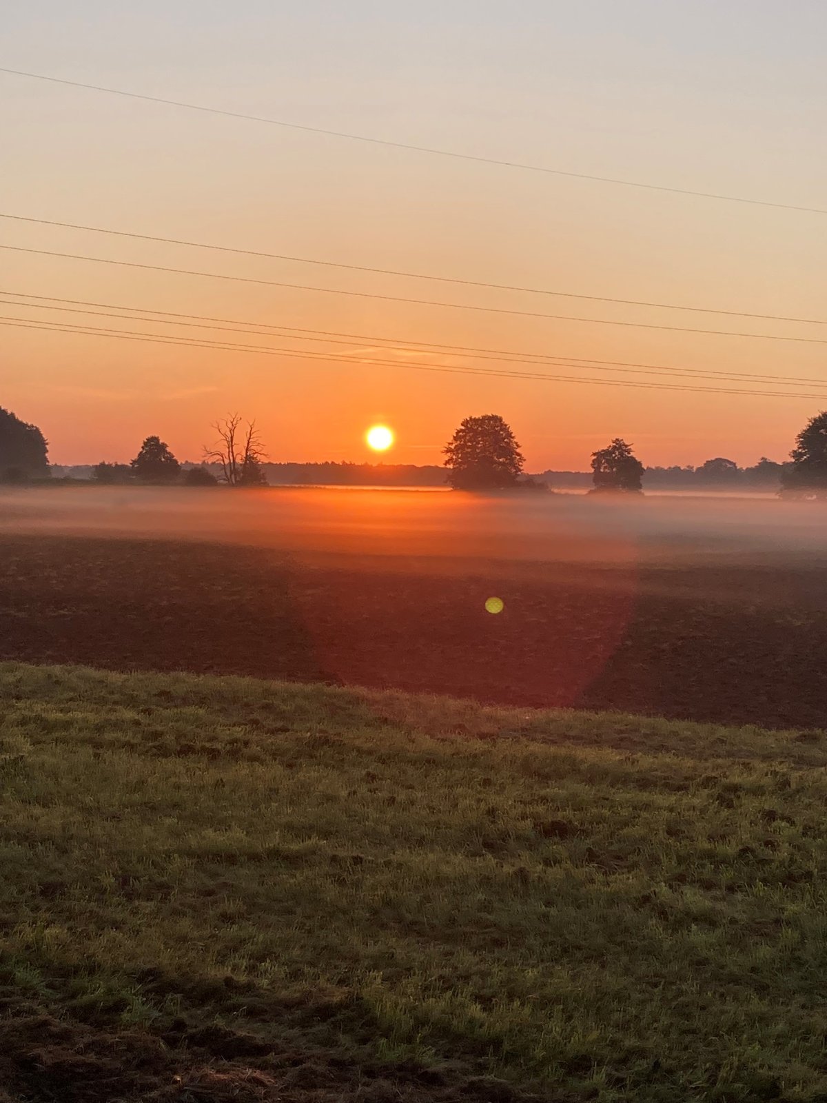 sunset2.jpg