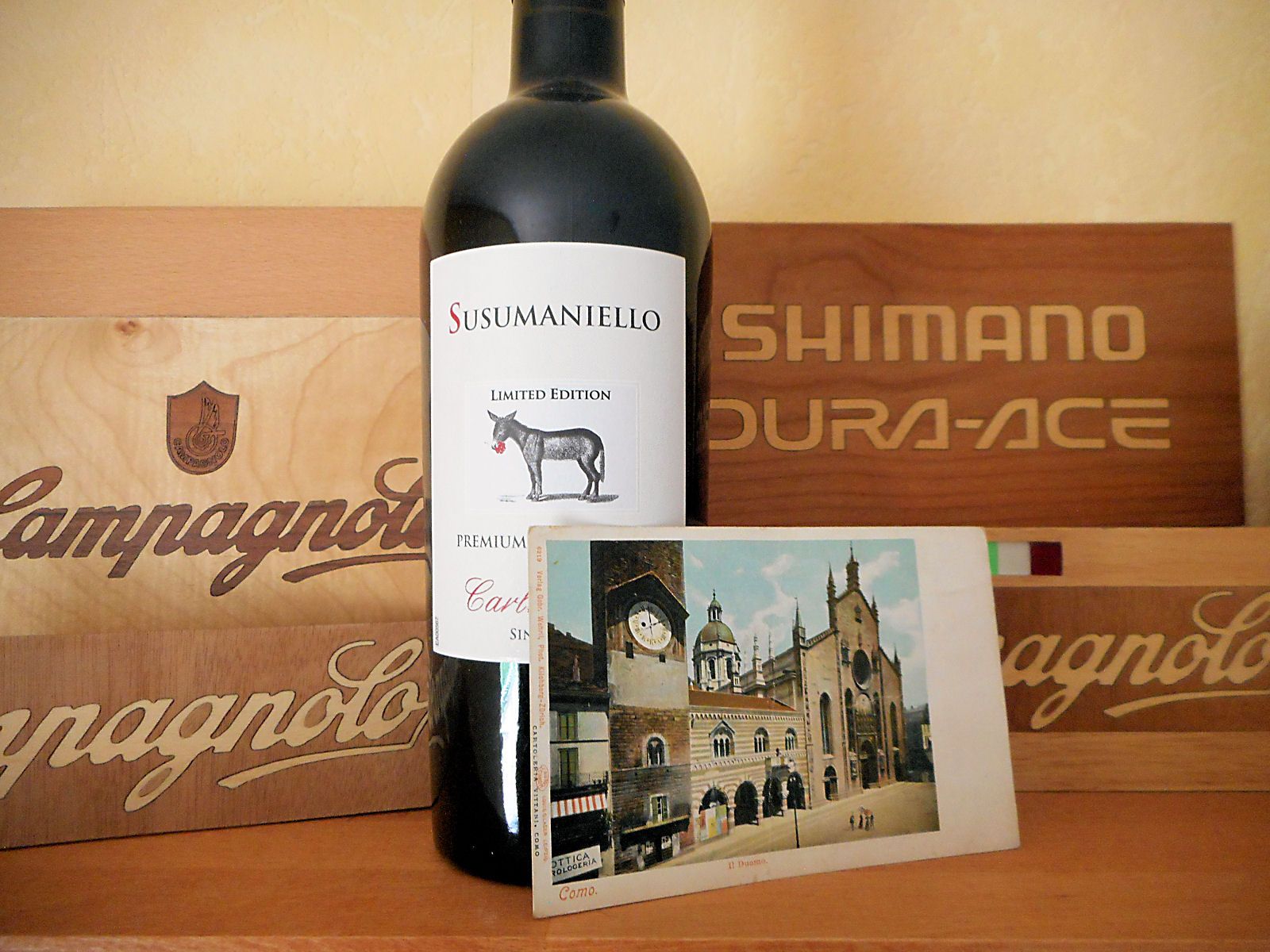 Susumaniello_A_1600.jpg