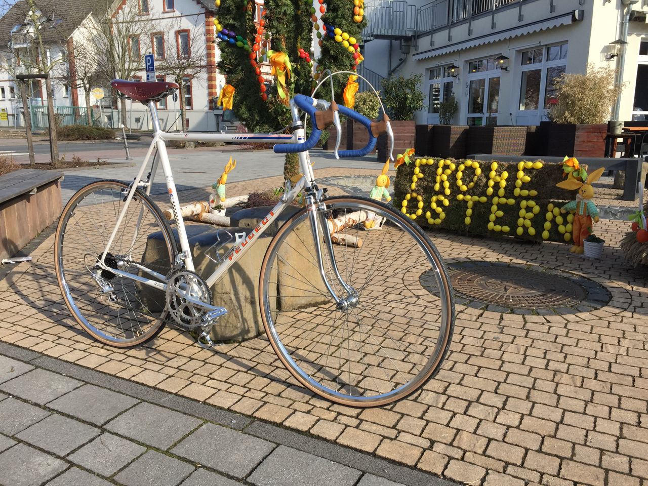 SV980.jpg