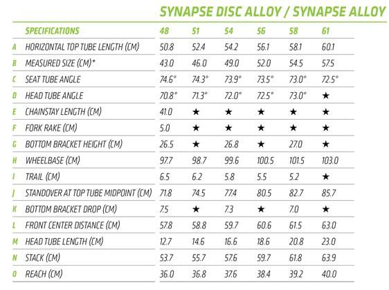 synapse disc.jpg