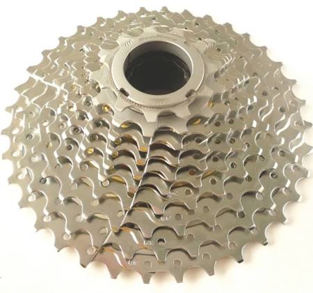 syunraca 10 fach.jpe