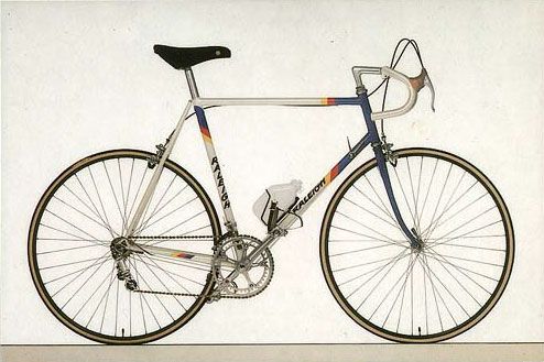 team-raleigh-panasonic84.jpg