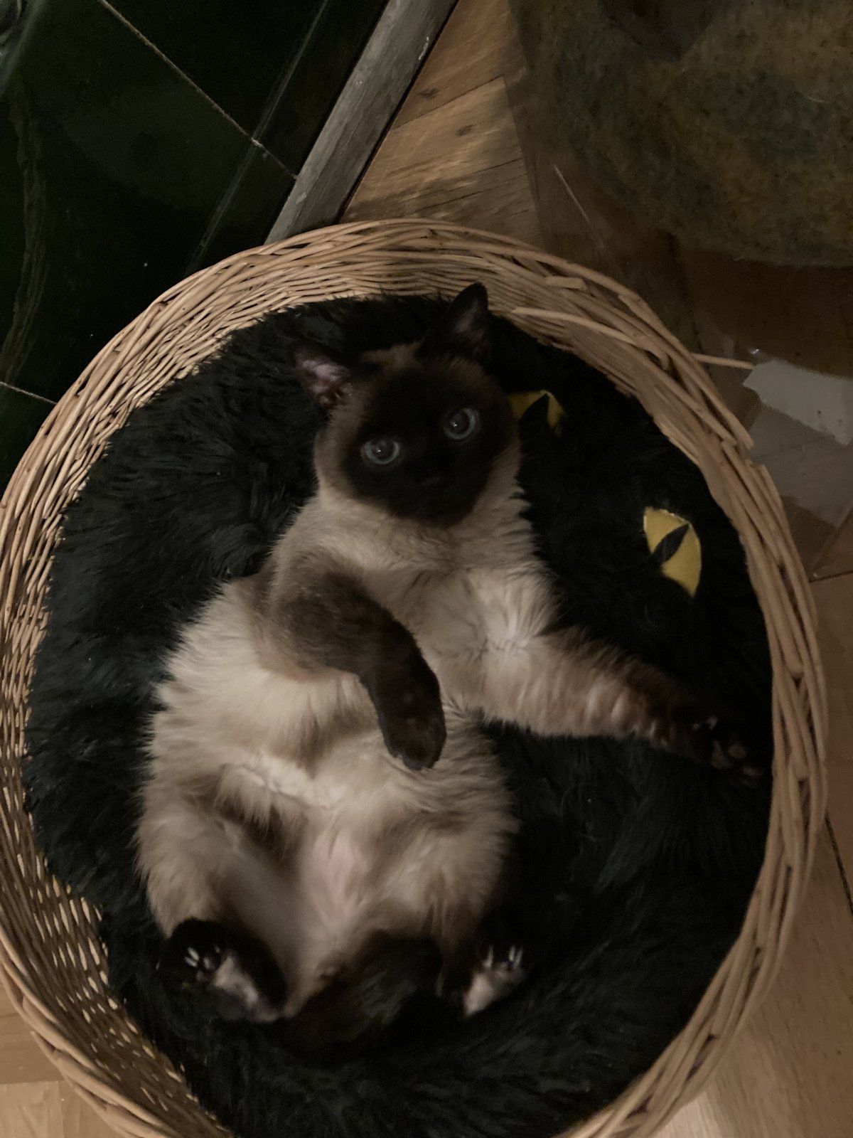 tempImageaxKCuP.jpg