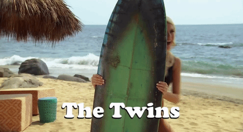 thetwinsgiphy.gif