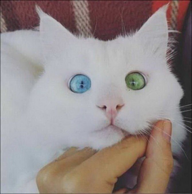 thumbs_EMOK_Picdump_508_085.jpg