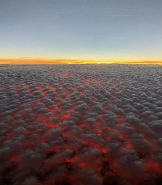 thumbs_EMOK_Picdump_565_015_crop_665x758.jpg