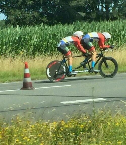 thumbs_picdump579_056_crop_500x571.jpg