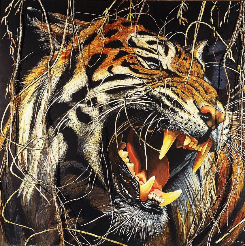 Tiger_01.jpg