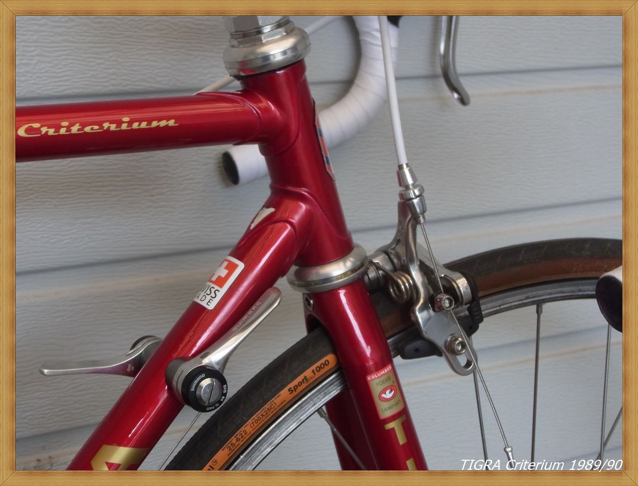 TigraCriterium5.JPG