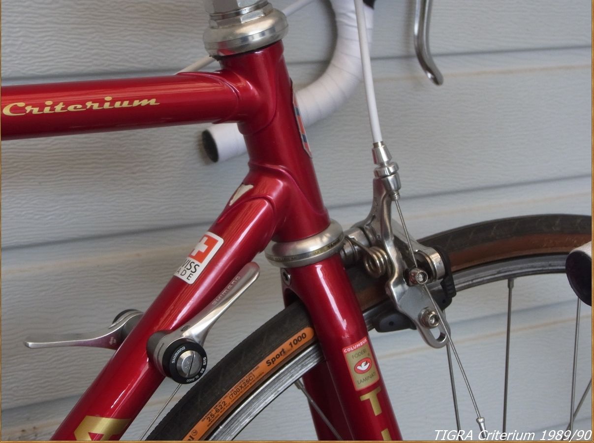 TigraCriterium5.JPG