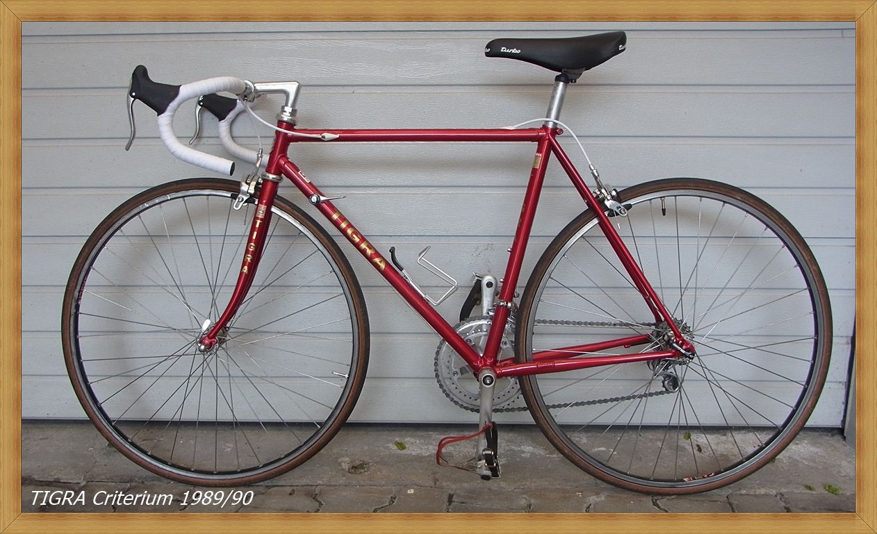TigraCriterium7.JPG