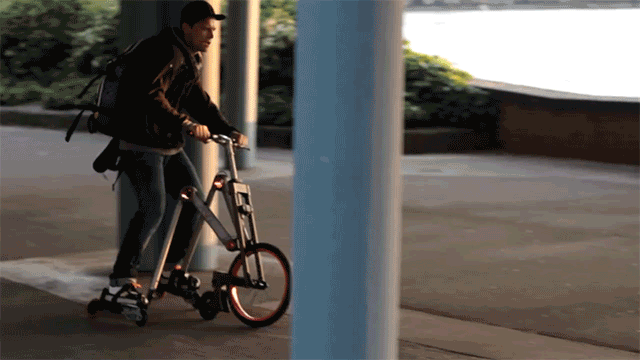 tmp_1146-32113008825.gif