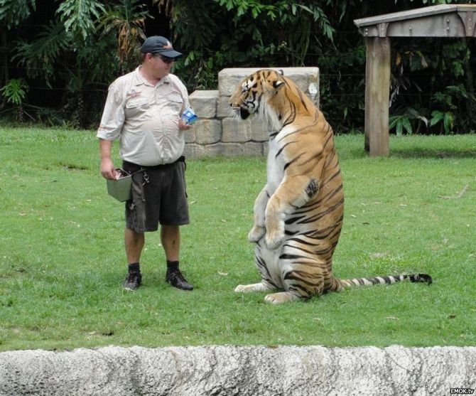 tmp_13393-thumbs_EMOK_Picdump_405_095-1258667475.jpg