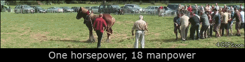 tmp_13586-One-horsepower-tug-of-war-1518859281.gif