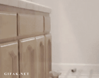 tmp_16243-1-1385914643.gif