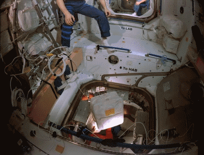 tmp_17836-hmgifdump29 (9)-1850217672.gif