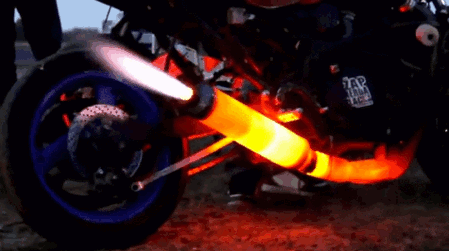 tmp_19370-16596812856.gif