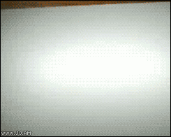 tmp_21301-Bird-snowman-horse-drawings152466380.gif