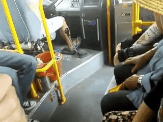 tmp_2138-31-1686720400.gif