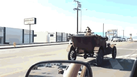 tmp_22673-291696270485.gif