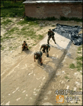 tmp_24052-Wall-climbing-teamwork-2113146567.gif