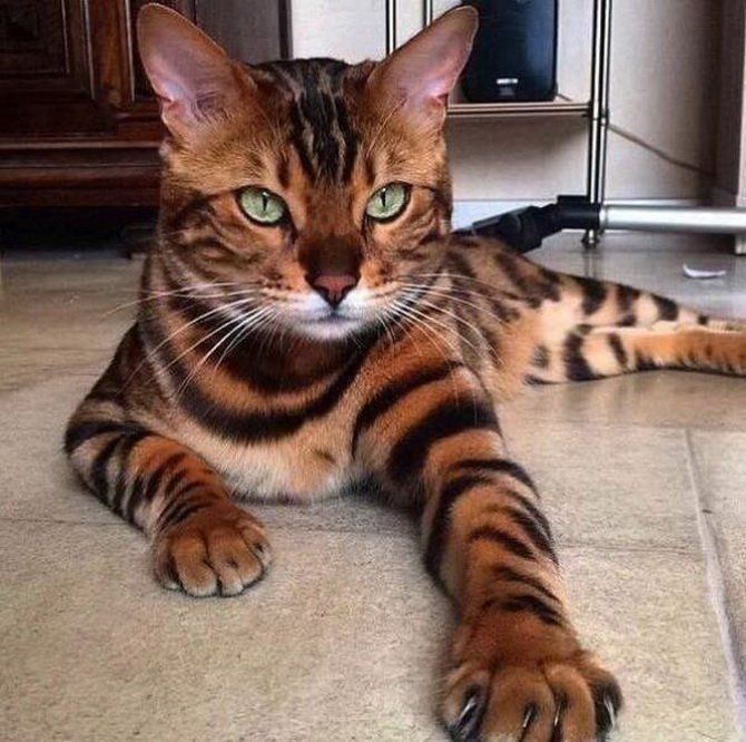tmp_2502-thumbs_EMOK_Picdump_463_096478365367.jpg