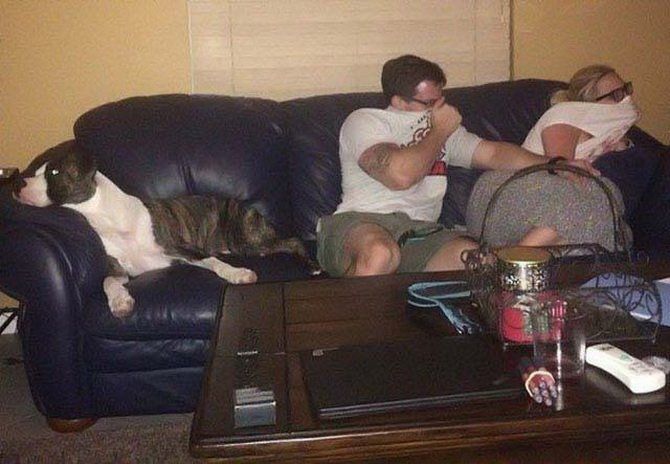 tmp_2502-thumbs_EMOK_Picdump_463_117885404107.jpg