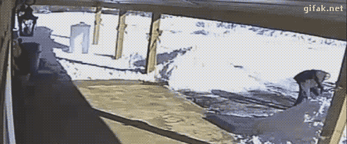 tmp_2503-2(2)47946581.gif