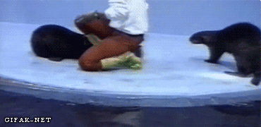 tmp_25264-OXPhJDf-294633773.gif