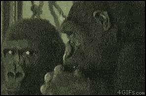 tmp_25264-RYHGGYV-971954657.gif