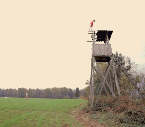 tmp_26042-15-606983884.gif