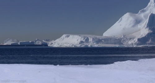 tmp_26365-hmgifdump-63 (4)53774914.gif