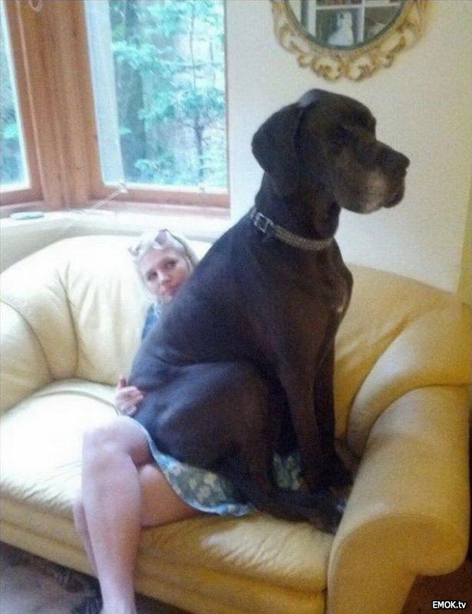 tmp_3316-thumbs_EMOK_Picdump_429_046227804370.jpg